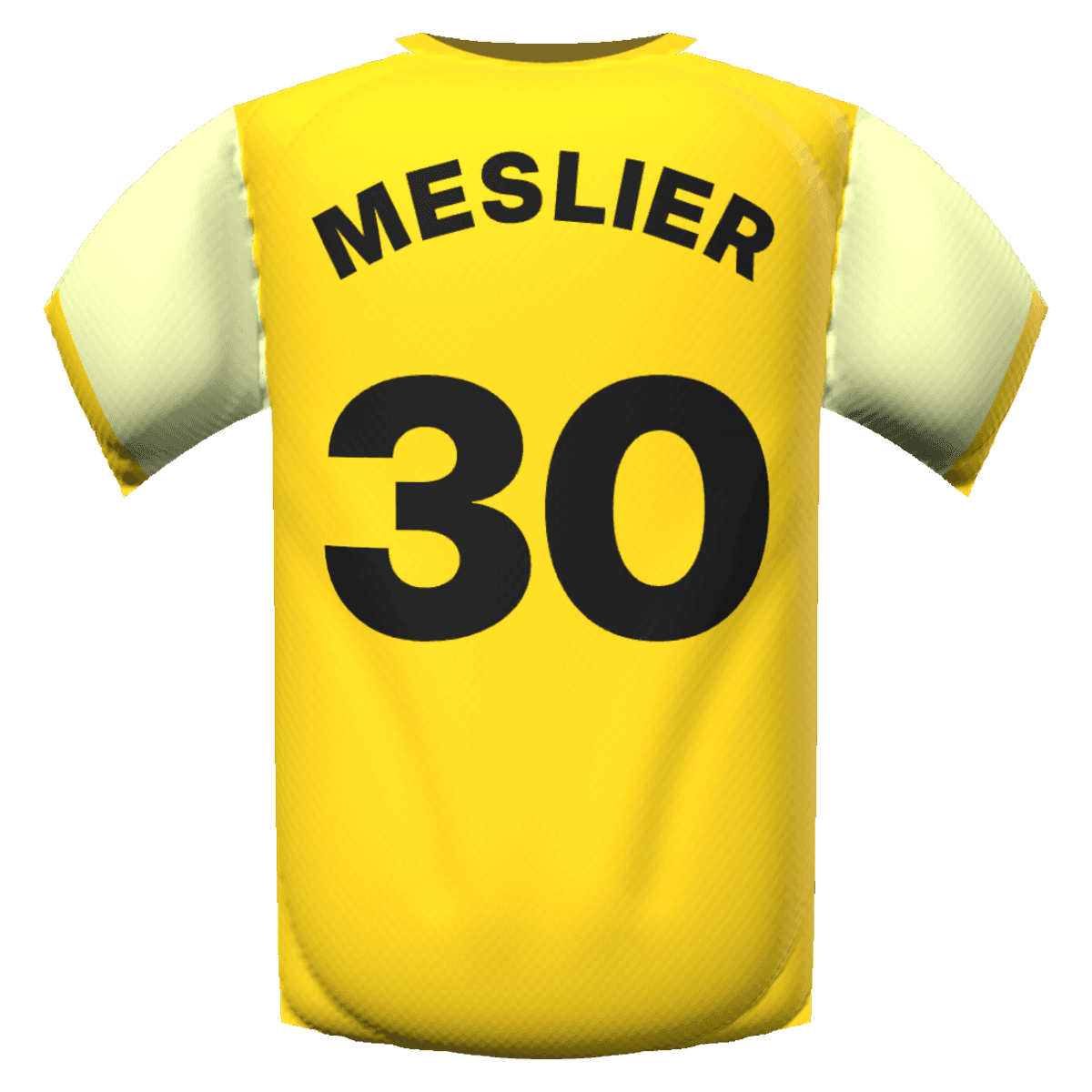 Illan Meslier's shirt
