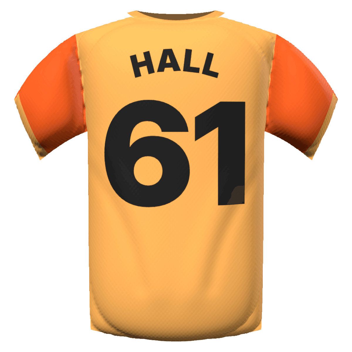 Steven Hall's shirt