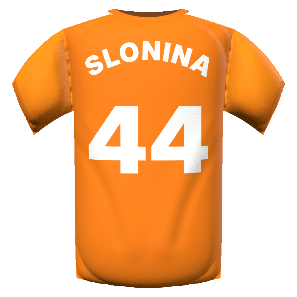Gaga Slonina's shirt
