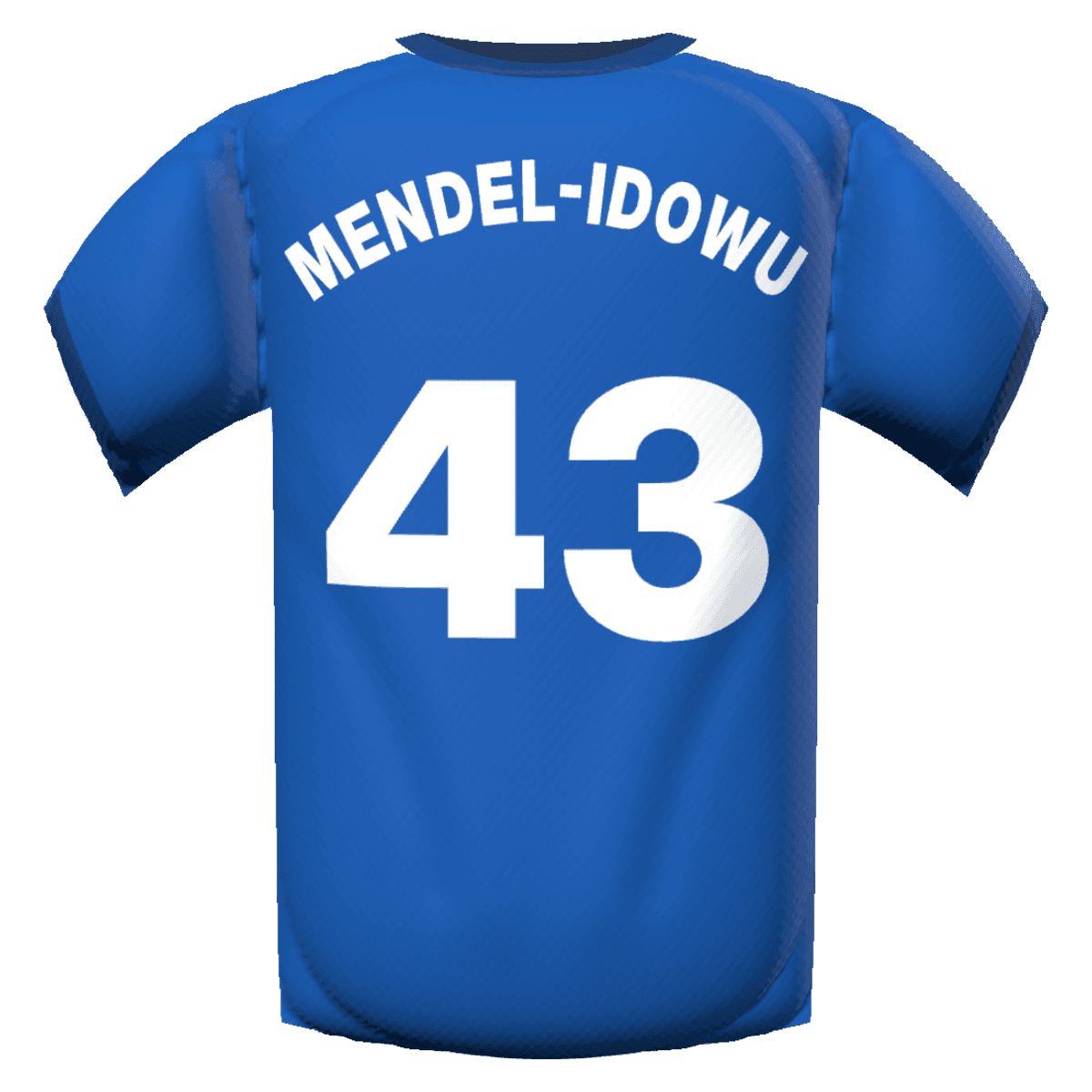 Tudor Mendel-Idowu's shirt