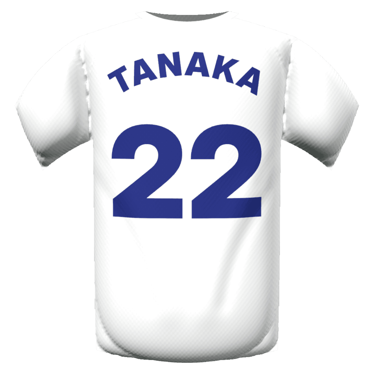 Ao Tanaka's shirt
