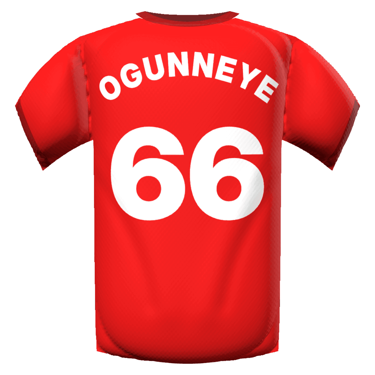 Habeeb Ogunneye's shirt