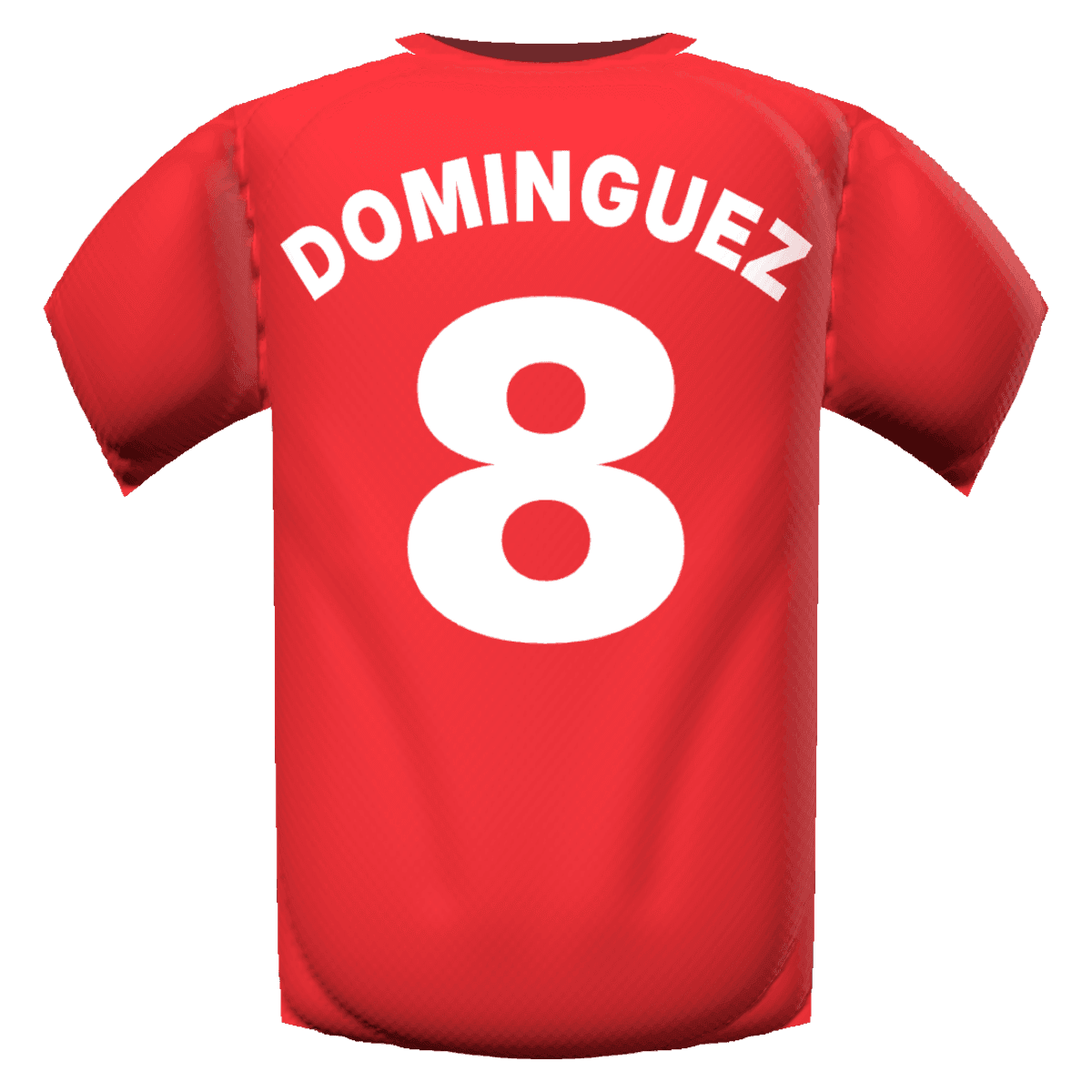 Nicolas Dominguez's shirt